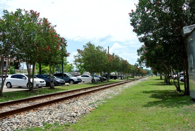 Train tracks lined with crape myrtles.